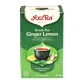Green Tea Ginger Lemon - Yogi Tea